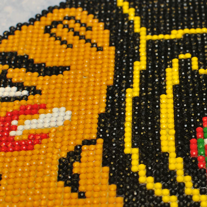 Diamond Dotz NHL Chicago Blackhawks - 12.6 x 12.6 in