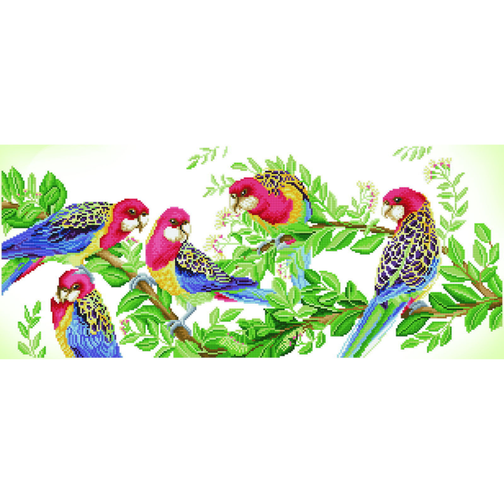 Diamond Dotz Eastern Rosella Gathering - 14.6" x 34.3"