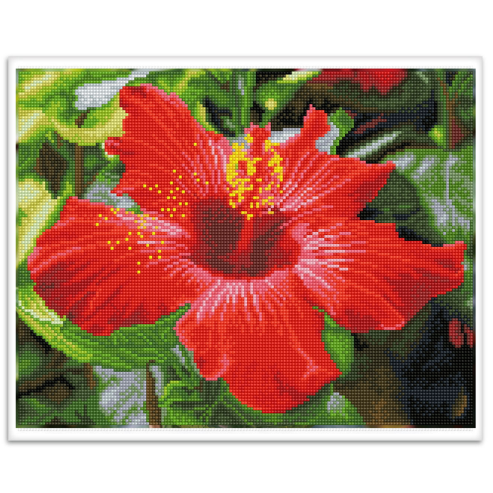 Diamond Dotz Hibiscus in Bloom Pre-Framed Kit - 16.1" x 12.6"