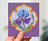 Iris — 1