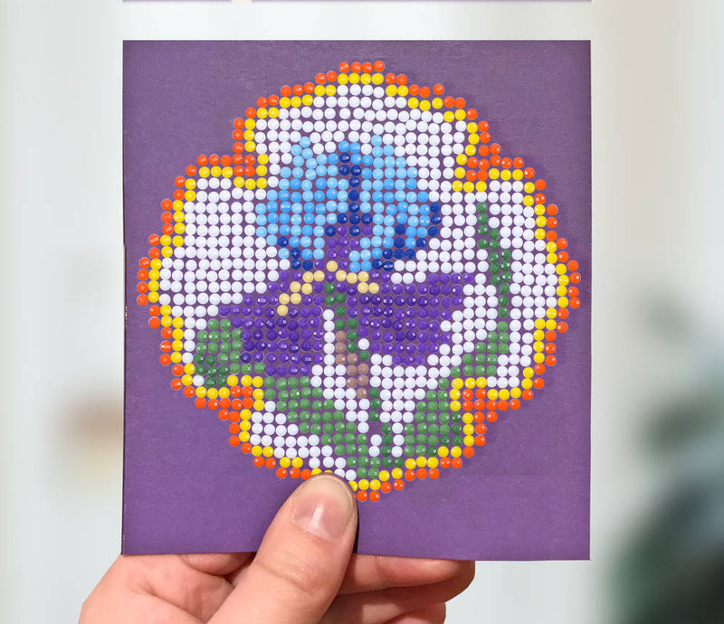 Iris