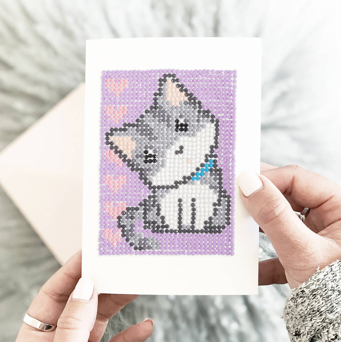 Kitten