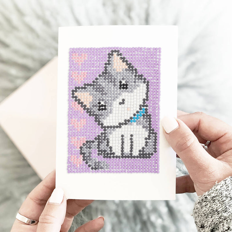 Kitten