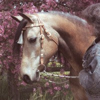 Laurie Prindle