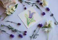 Lavender — 2