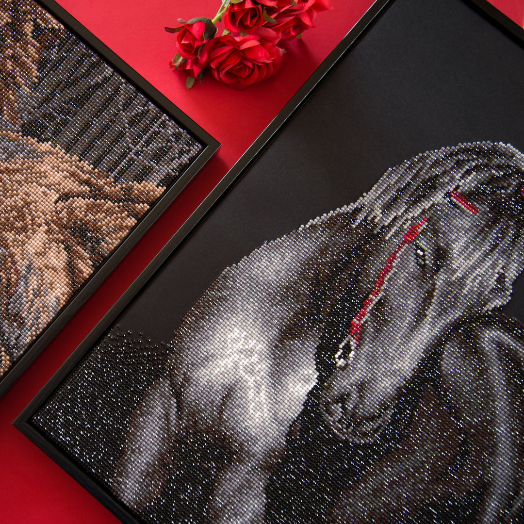 Diamond Dotz Midnight Stallion - 16.5 x 20.9 in