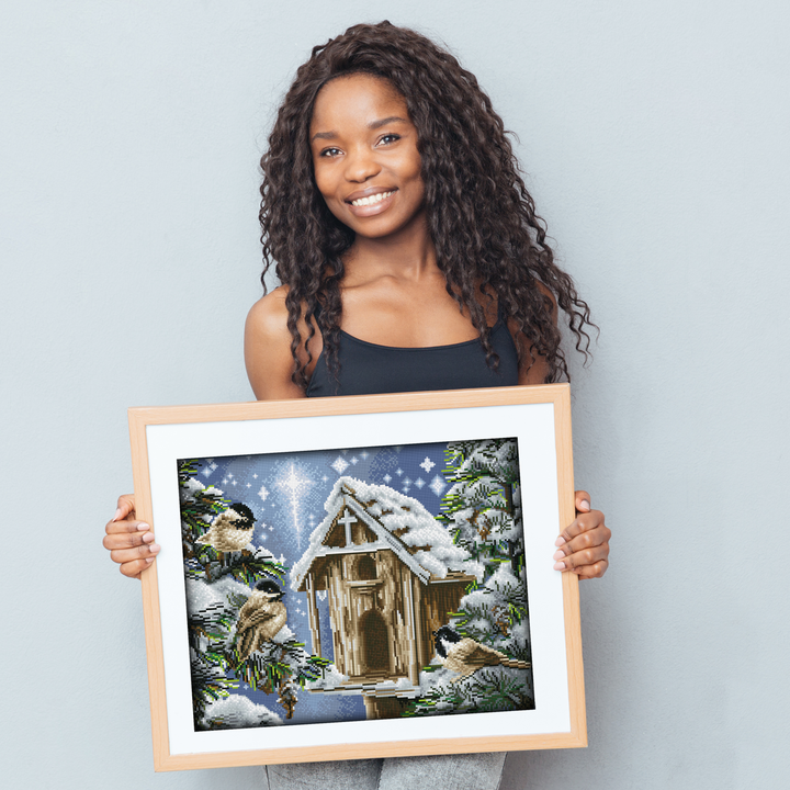 Diamond Dotz The Gift of Peace - 20 x 16 in