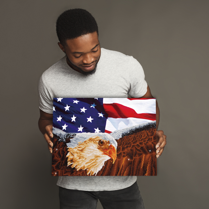 Diamond Dotz Bald Eagle & Flag - 28 x 22 in