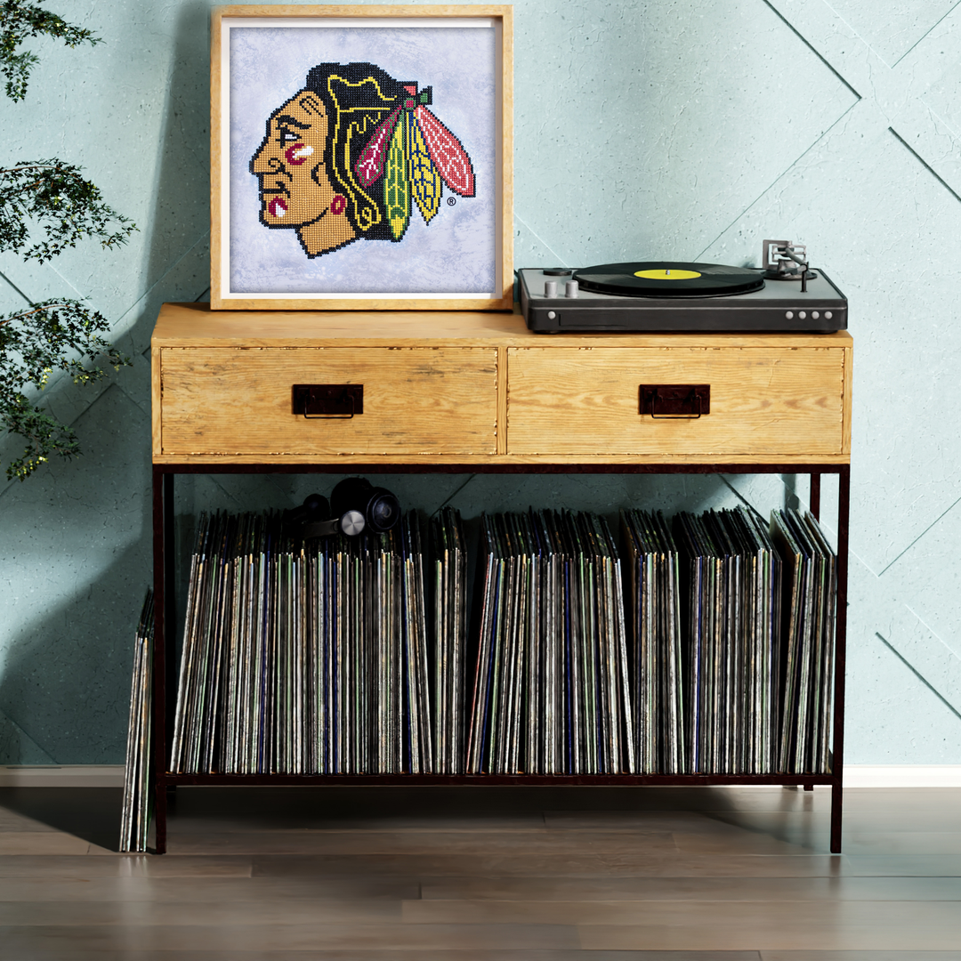 Diamond Dotz NHL Chicago Blackhawks - 12.6 x 12.6 in