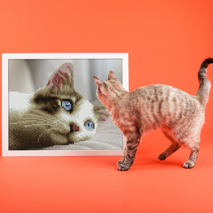 Diamond Dotz Daydream Kitty - 9.84 x 8.07 in
