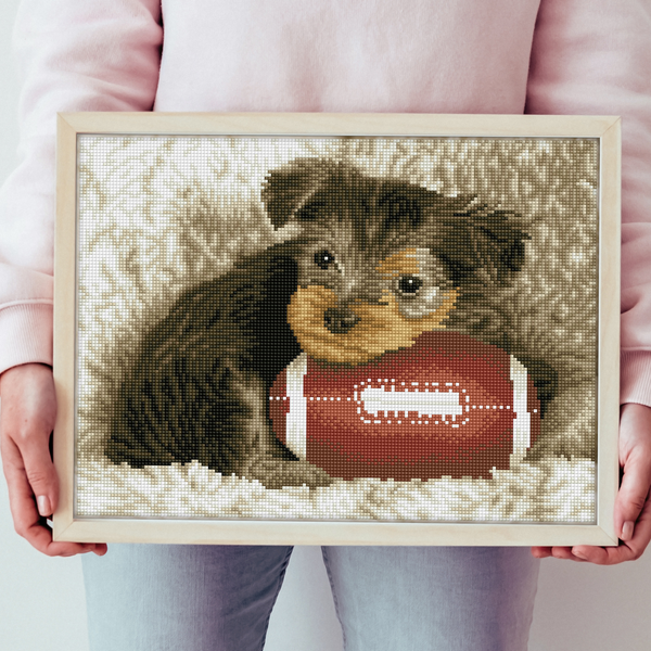 Footy Pup | Diamond Painting Kit Dogs | Diamond Dotz – DIAMOND DOTZ