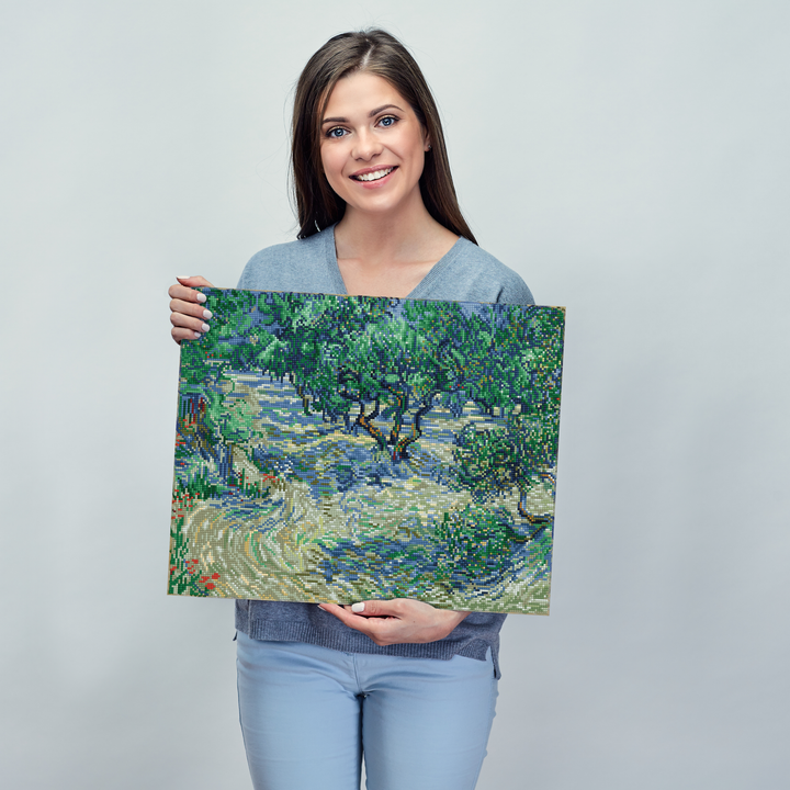 Diamond Dotz Olive Orchard (Van Gogh) - 16.5 x 20.5 in