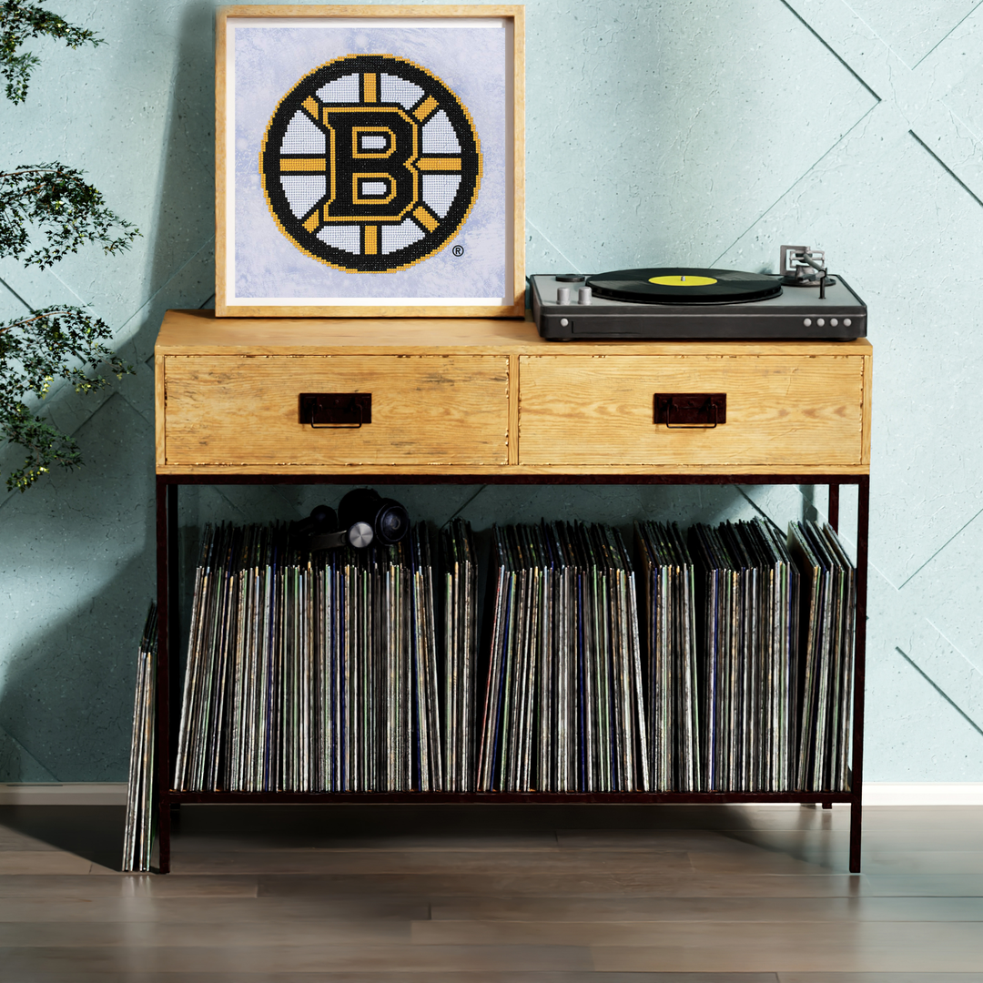 Diamond Dotz NHL Boston Bruins - 12.6 x 12.6 in