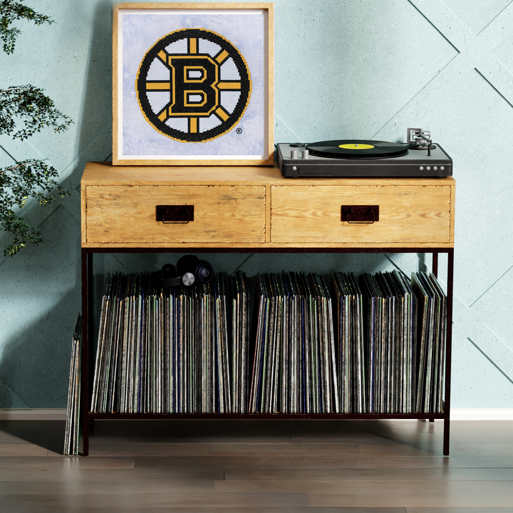 Diamond Dotz NHL Boston Bruins - 12.6 x 12.6 in