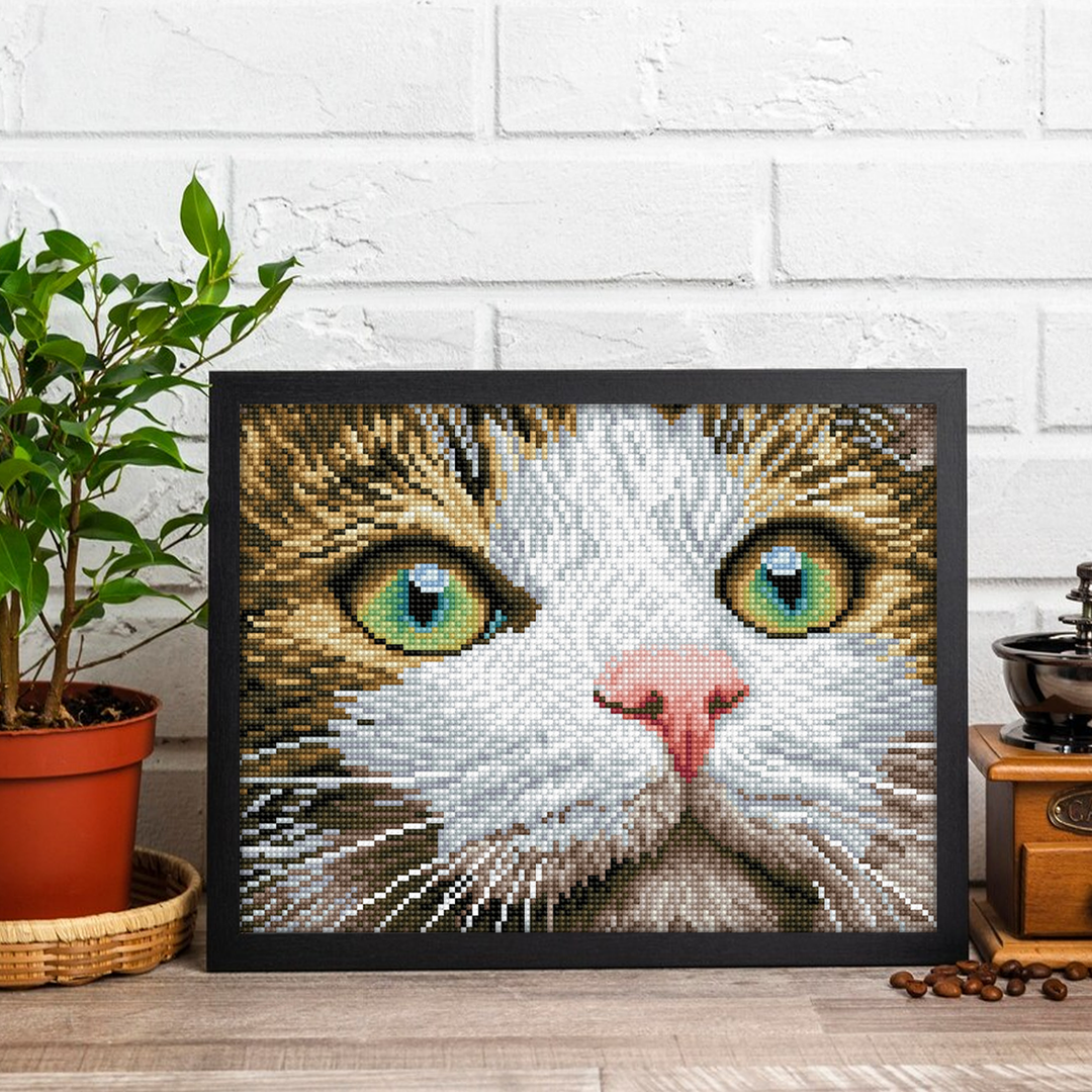 Diamond Dotz Green Eyed Beauty with Frame - 11.81 x 11.81 in