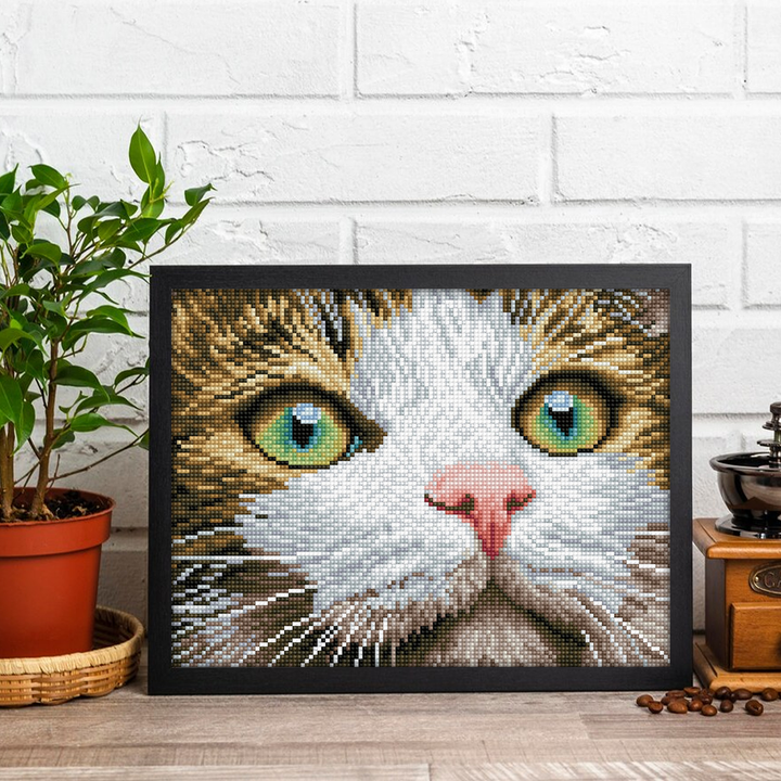 Diamond Dotz Green Eyed Beauty with Frame - 11.81 x 11.81 in
