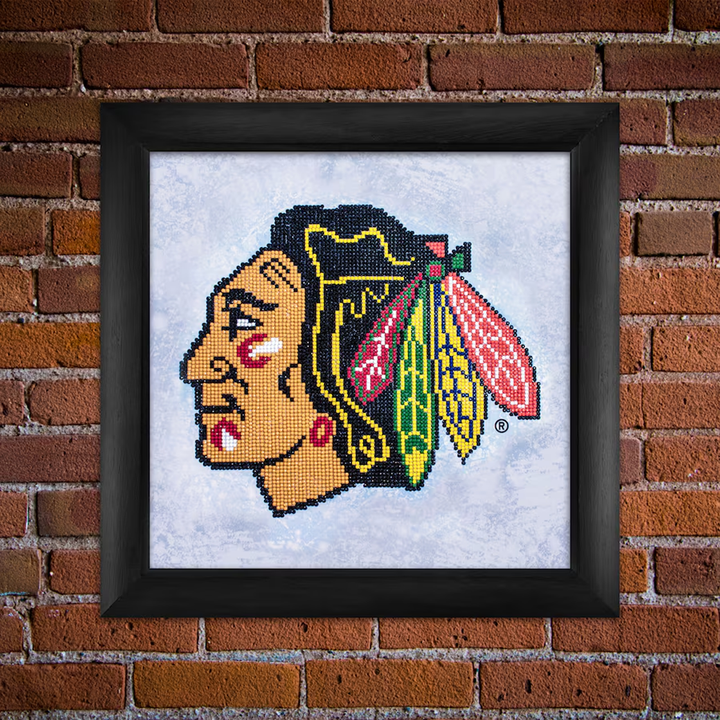 Diamond Dotz NHL Chicago Blackhawks - 12.6 x 12.6 in