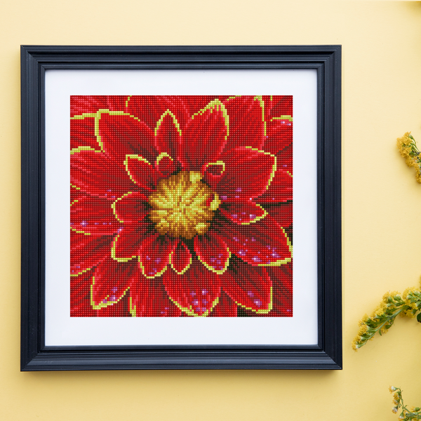 Dahlia | Diamond Painting Kits Floral Flowers | Diamond Dotz