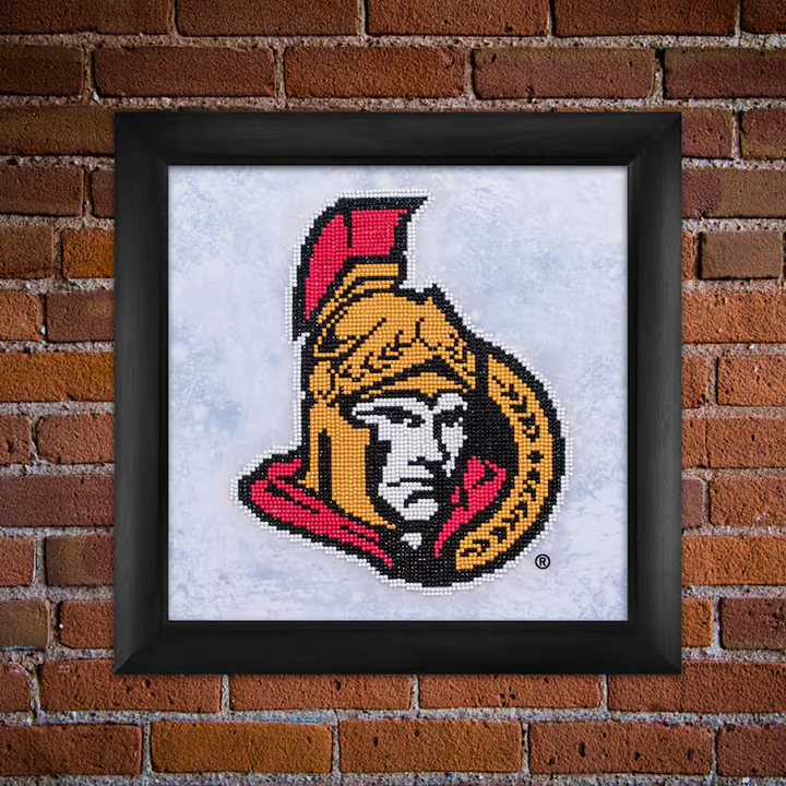 Diamond Dotz NHL Ottawa Senators - 12.6 x 12.6 in