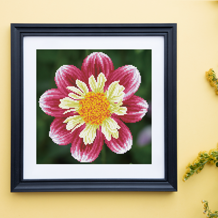Diamond Dotz Daisy-A-Day - 12 x 12 in