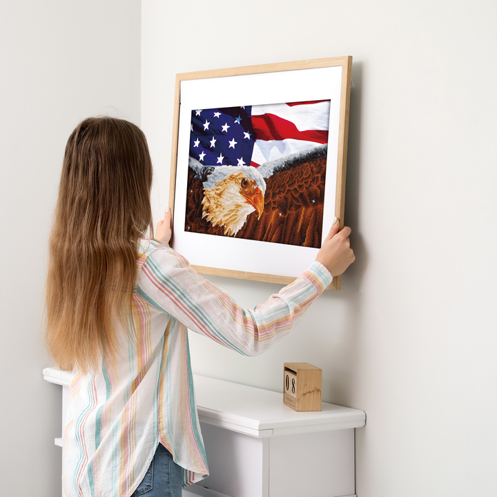 Diamond Dotz Bald Eagle & Flag - 28 x 22 in