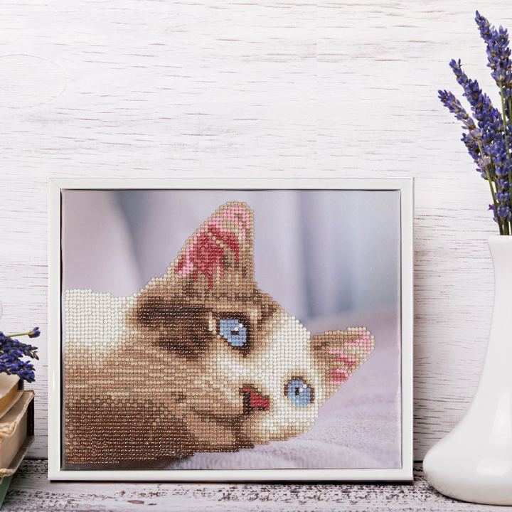 Diamond Dotz Daydream Kitty - 9.84 x 8.07 in