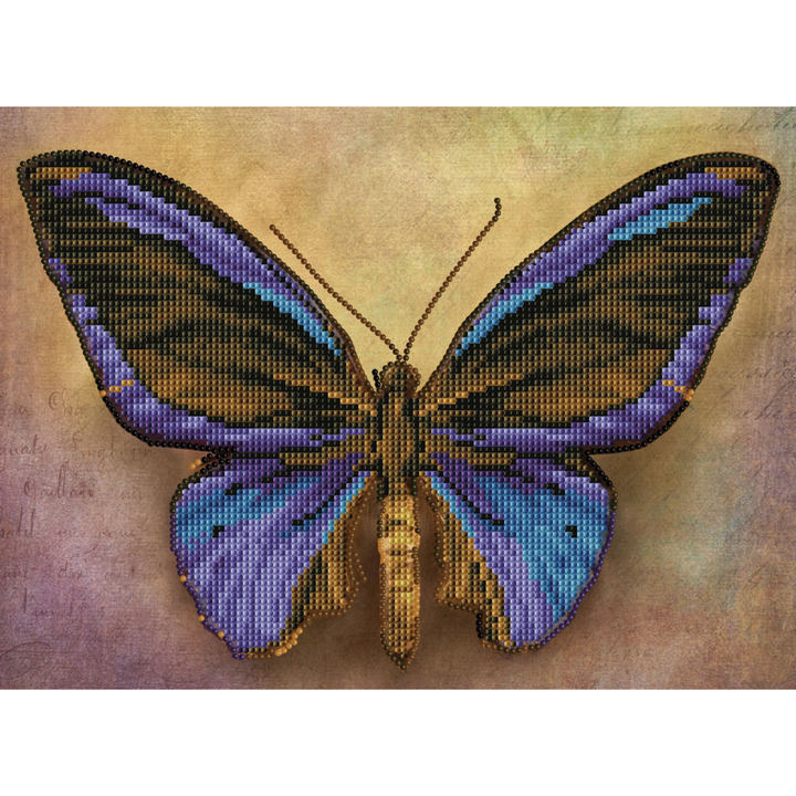 Mauve Butterfly