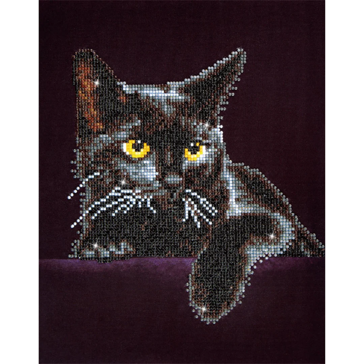 Diamond Dotz Midnight Cat - 11.0" x 14.0"