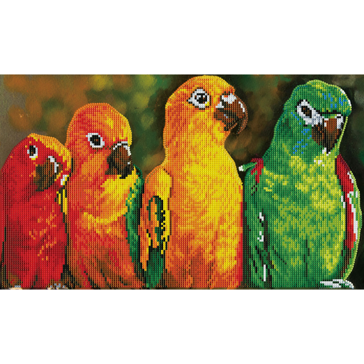 Parrots