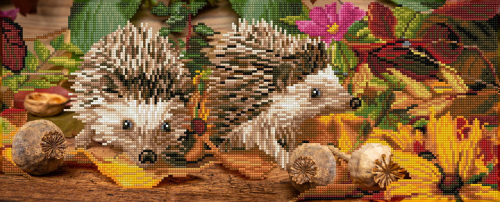 Diamond Dotz Hedgehog Scramble - 9.84 x 24.41 in