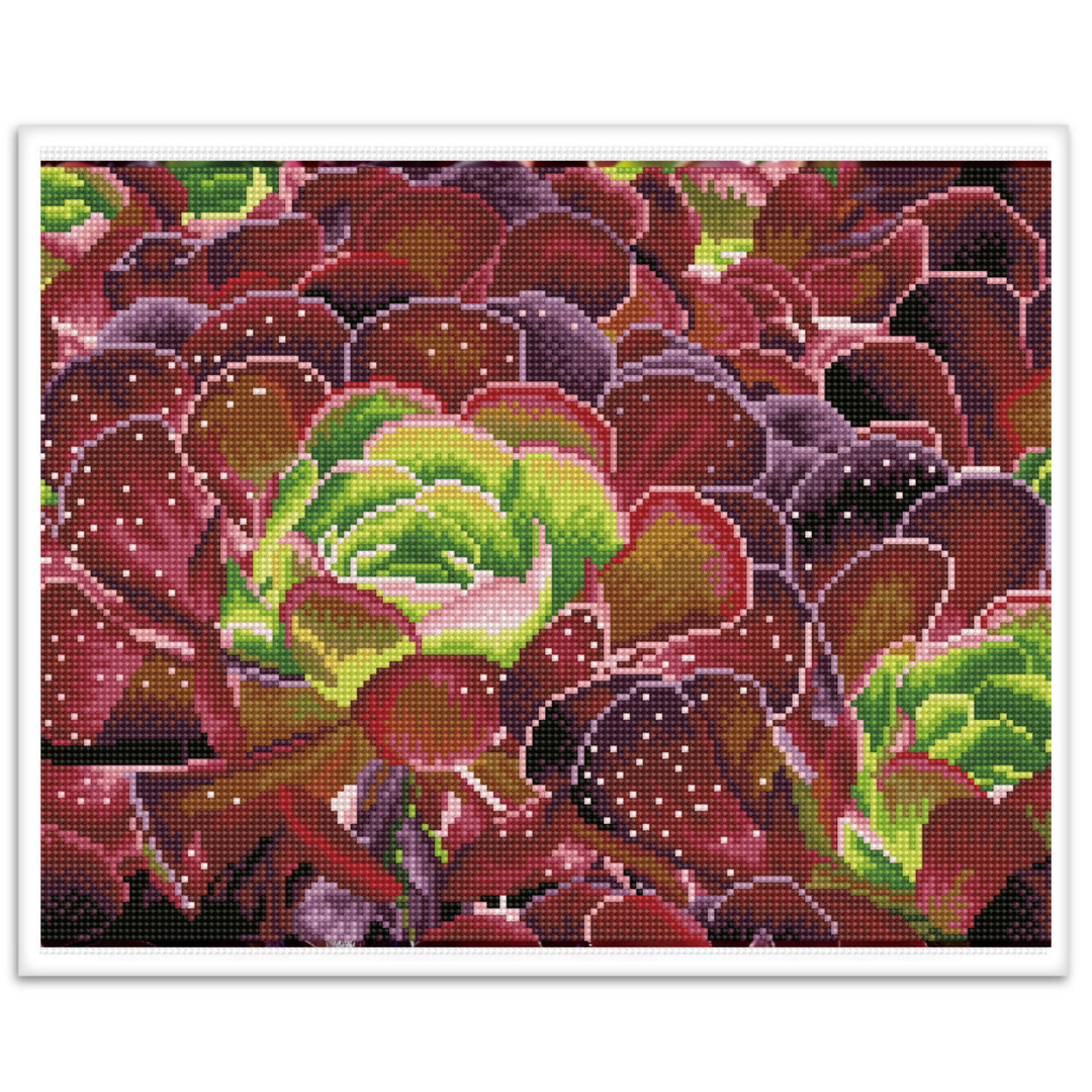 succulents diamond art advanced kit Succulents - Pre-Framed Kit | Diamond Painting Kits Floral