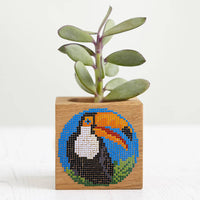 Toucan — 2