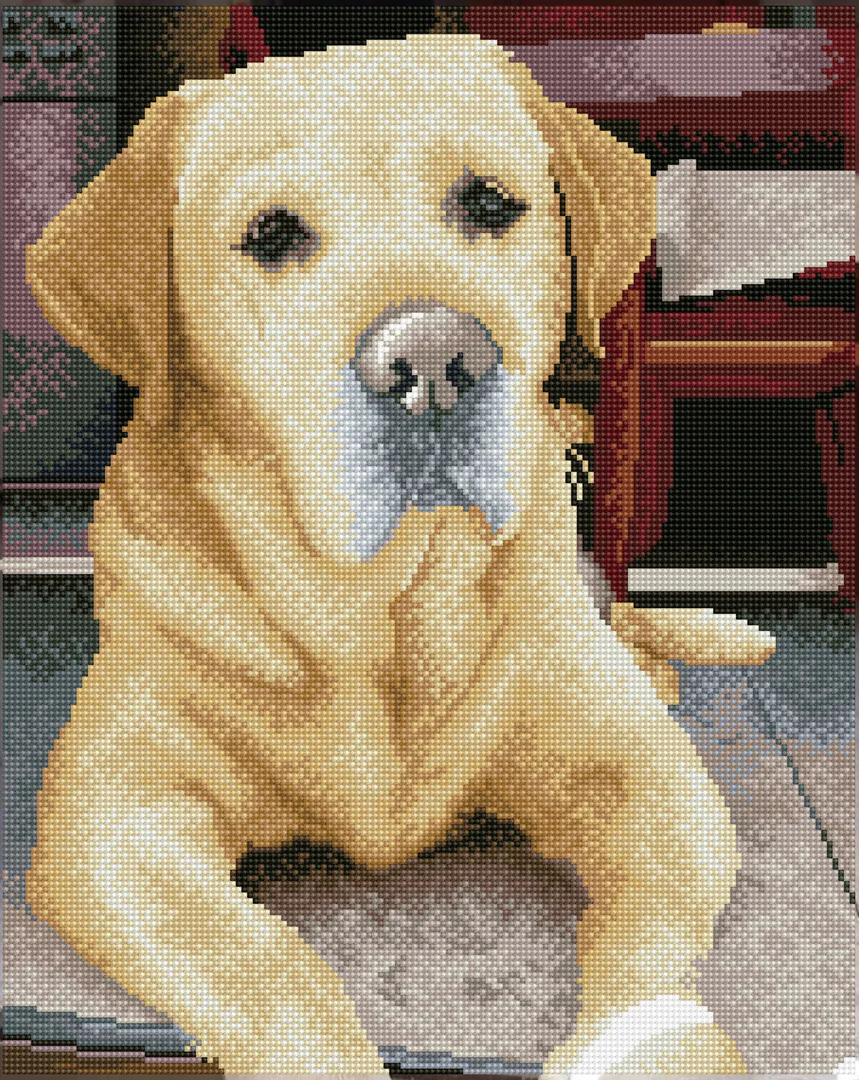 YSCOLOR Diamond Painting 5D Cane Labrador Nero 30x40cm, Kit Completo Con Diamanti Rotondi