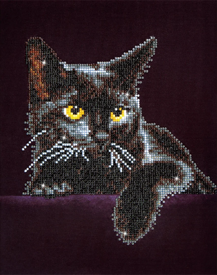 Midnight Cat Pre-Framed Kit- 11" x 14"
