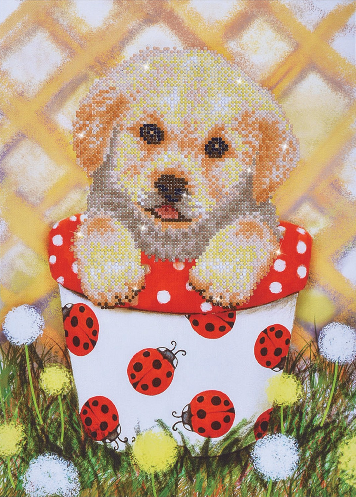 Diamond Dotz Pup in Pot - 16.5 x 11.8 in