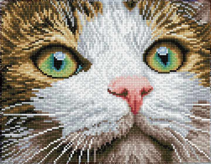 Diamond Dotz Green Eyed Beauty - 10 x 14 in