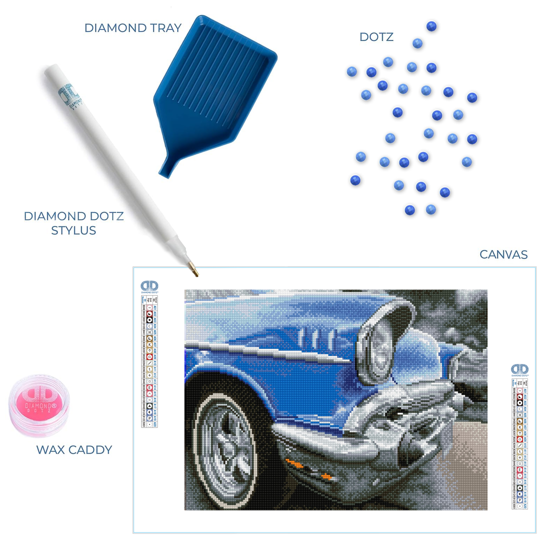 Diamond Dotz 50's Classic - 17.91 x 13.98 in