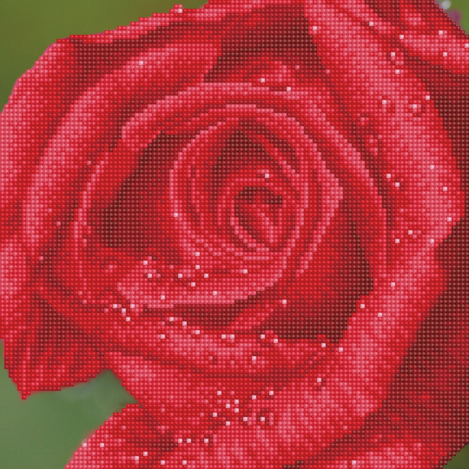 dotz Diamond Dotz Rose Dew with Frame - 12.0" x 12.0"