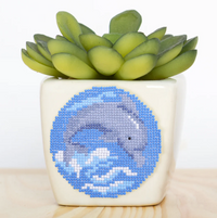 Dolphin — 1