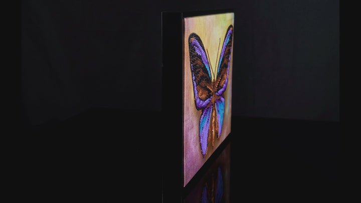 Mauve Butterfly