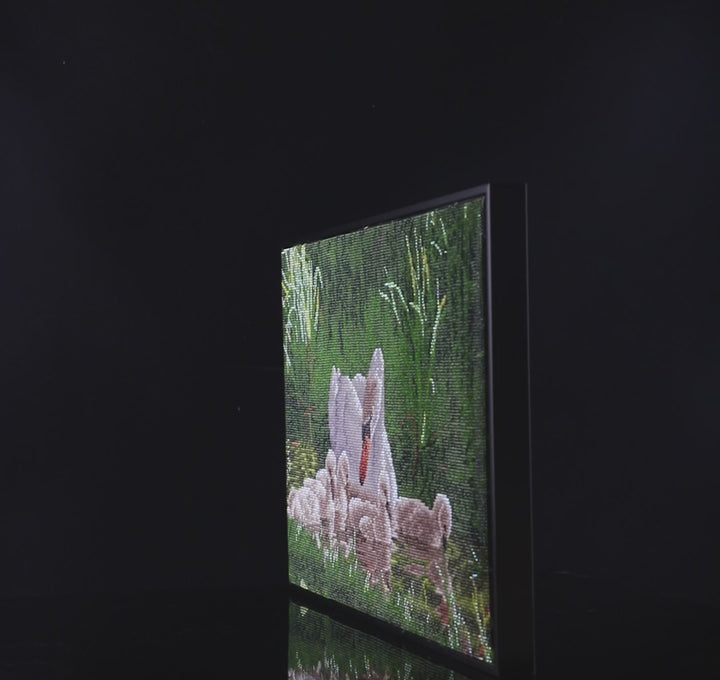 Diamond Dotz Mother Swan & Signets - 24.41 x 16.14 in