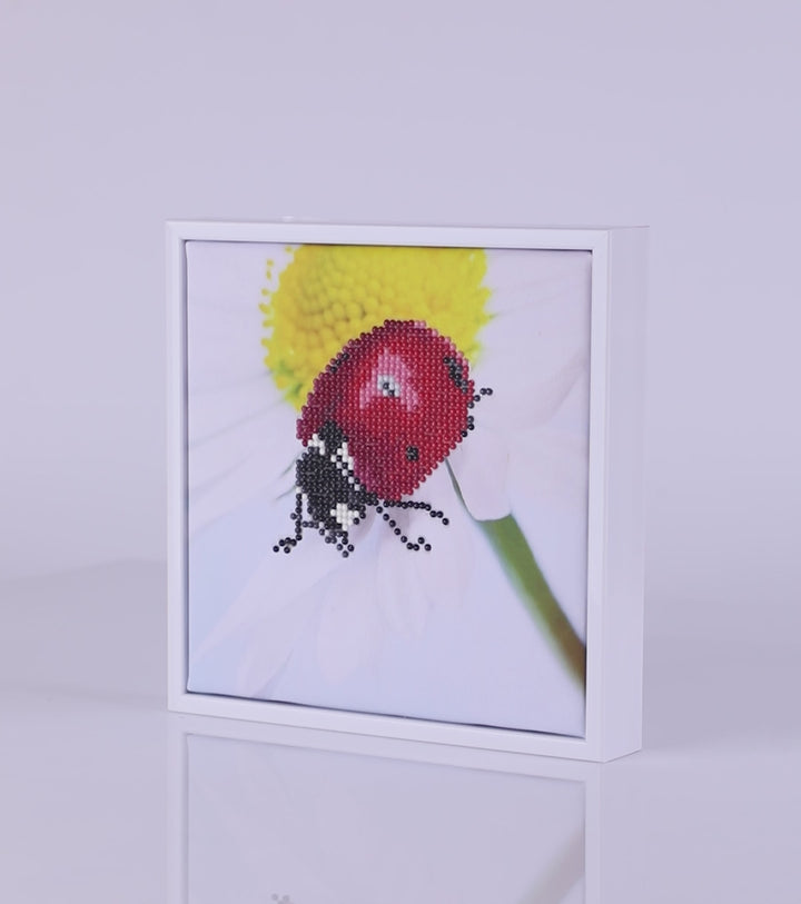 Diamond Dotz Daisy Lady - 7.9 x 7.9 in