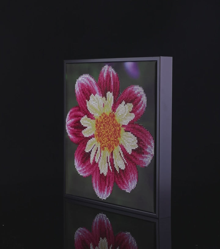 Diamond Dotz Daisy-A-Day - 12 x 12 in