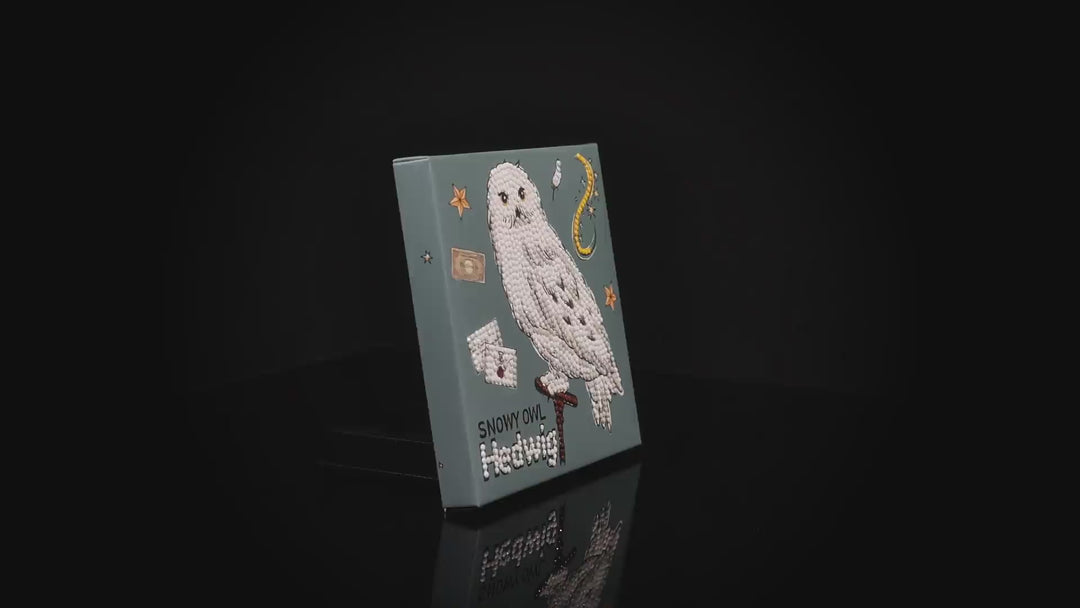 Snowy Owl Hedwig Dotz Box