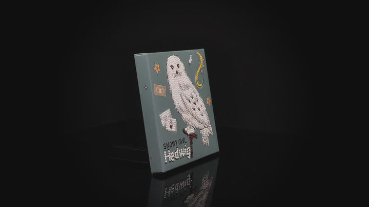 Snowy Owl Hedwig Dotz Box