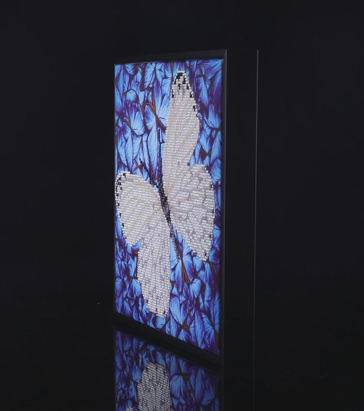 Diamond Dotz Flutterby White - 12 x 12 in