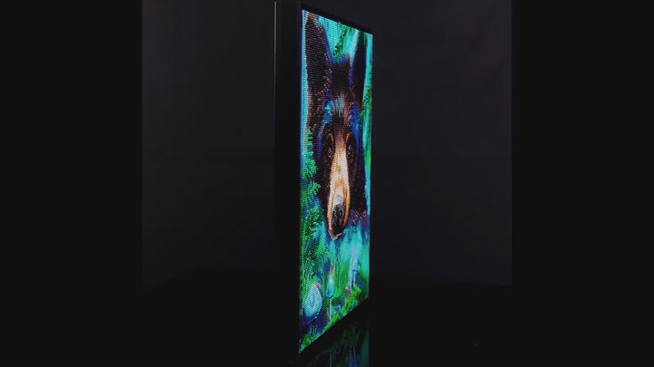 Diamond Dotz Moonlight Magic Black Bear - 17.6 x 13.7 in