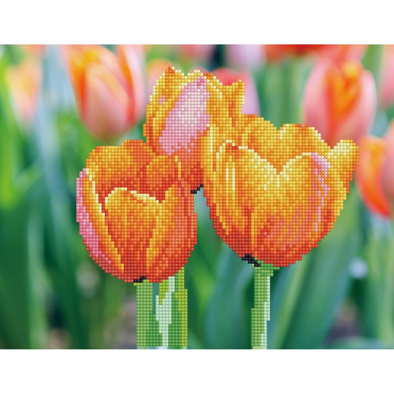 Love Tulips | Diamond Painting Kits Floral | Diamond Dotz