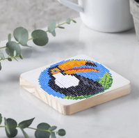 Toucan — 1
