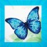 Blue Butterfly Cameo